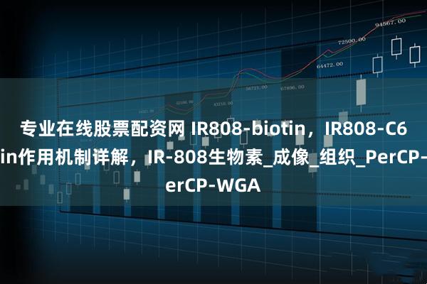 专业在线股票配资网 IR808-biotin，IR808-C6-biotin作用机制详解，IR-808生物素_成像_组织_PerCP-WGA