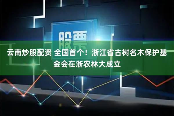 云南炒股配资 全国首个！浙江省古树名木保护基金会在浙农林大成立