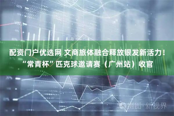 配资门户优选网 文商旅体融合释放银发新活力!“常青杯”匹克球邀请赛(广州站)收官